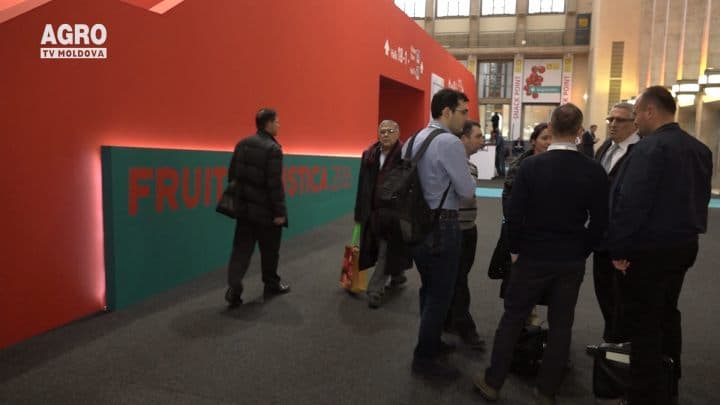 Fructele moldovenești, la mare căutare
