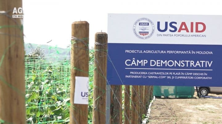 Granturi pentru producătorii agricoli