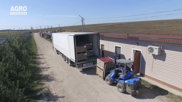 Posibile facilități pentru agricultori