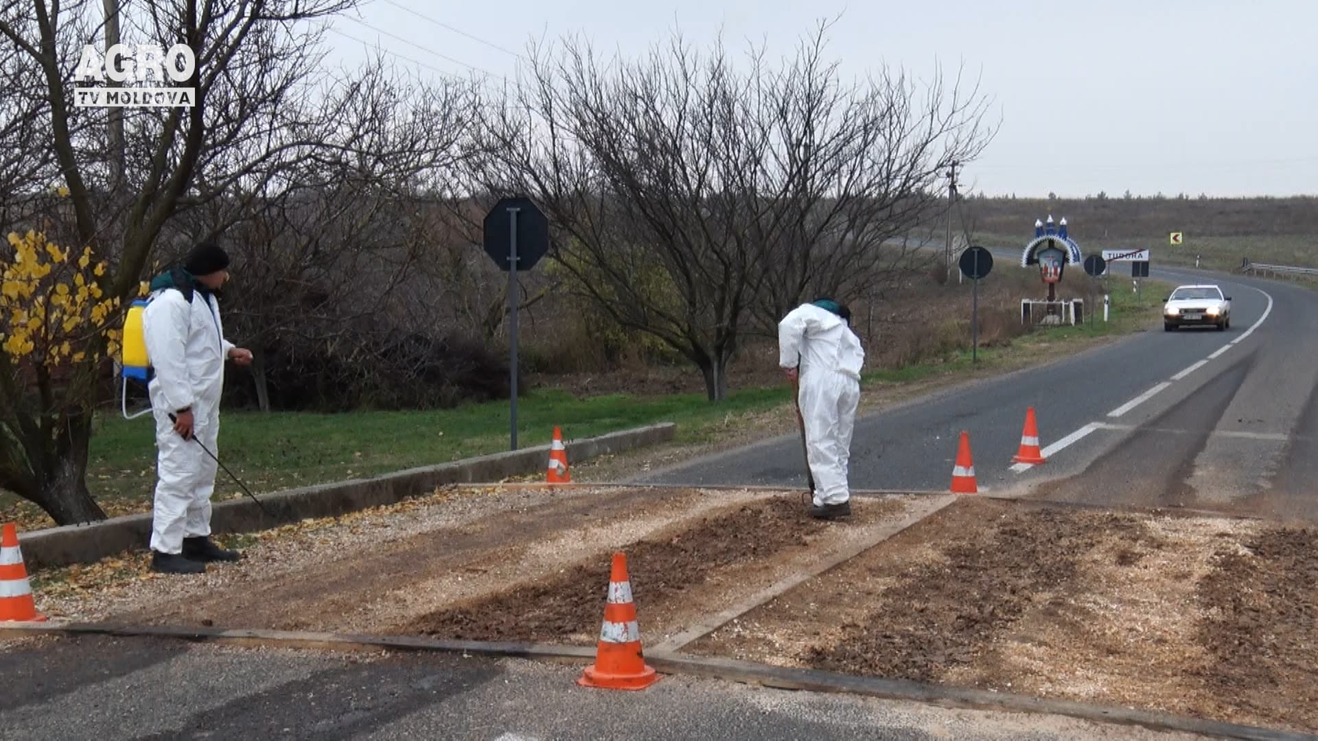 O altfel de carantină în raionul Glodeni