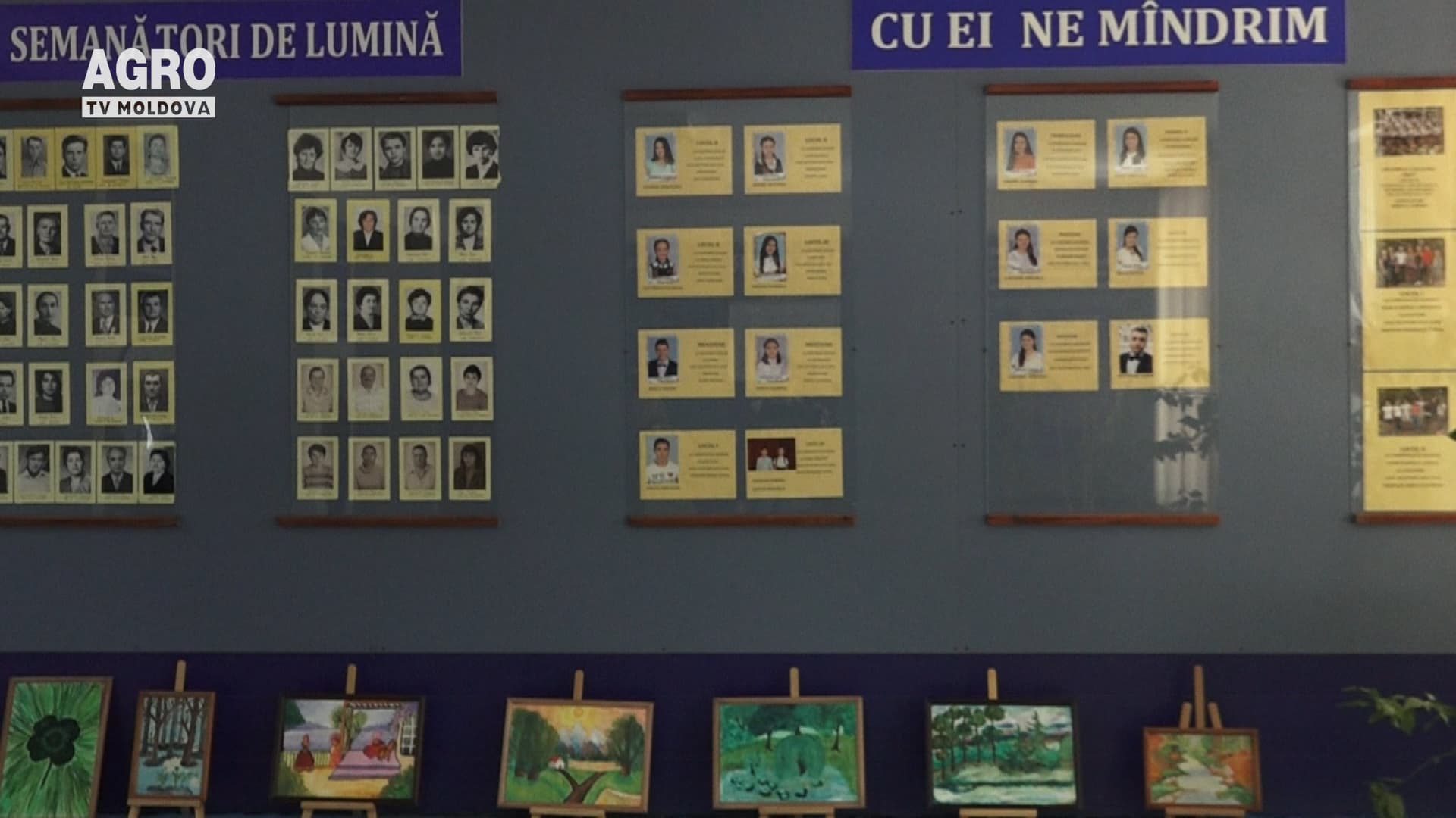 Învățăm online