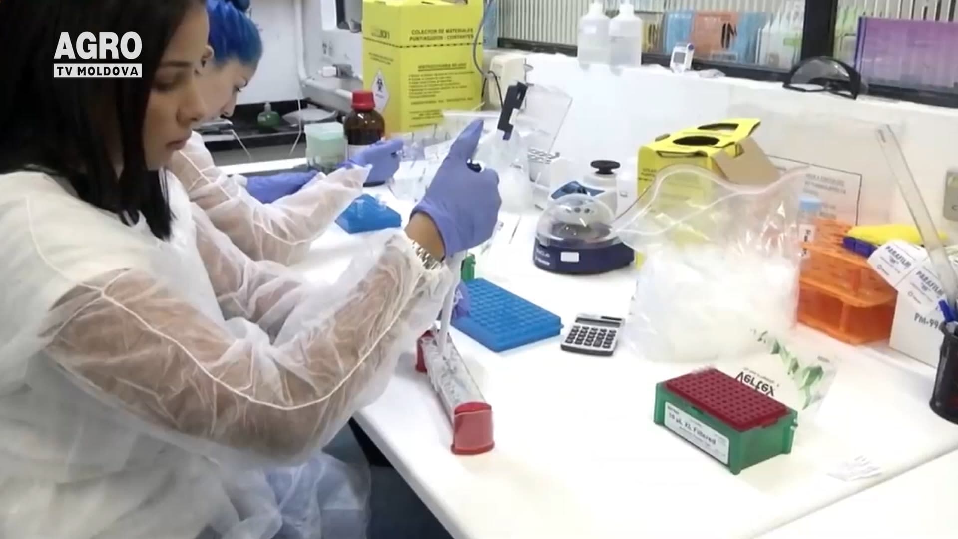 ANSA în regim de carantină