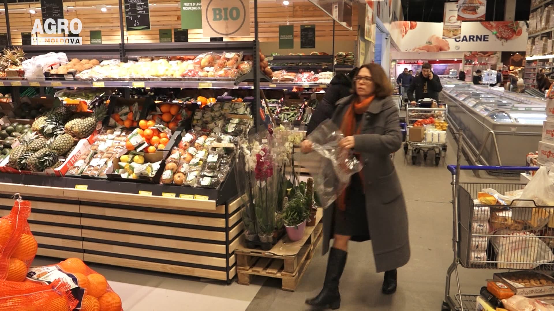 Apicultorii moldoveni, certificați ECO