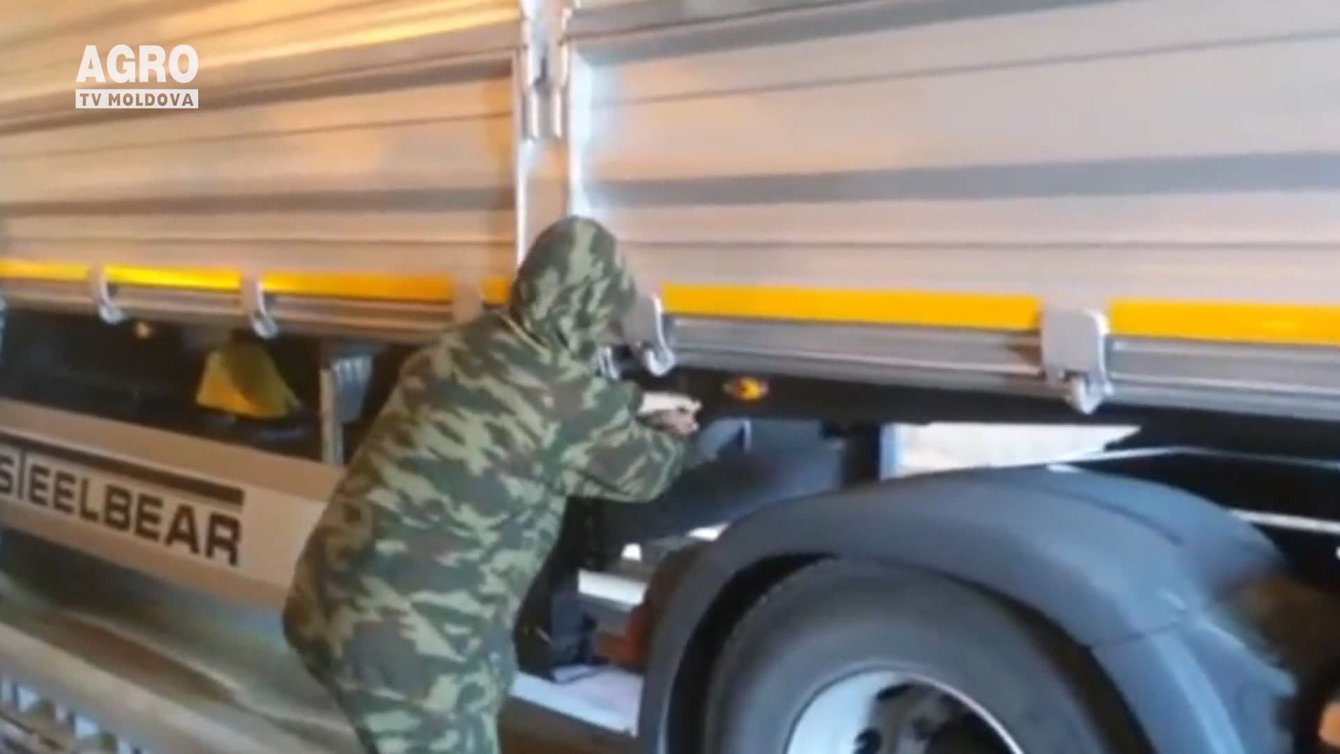 Exporturile de cereale și vite, restricționate
