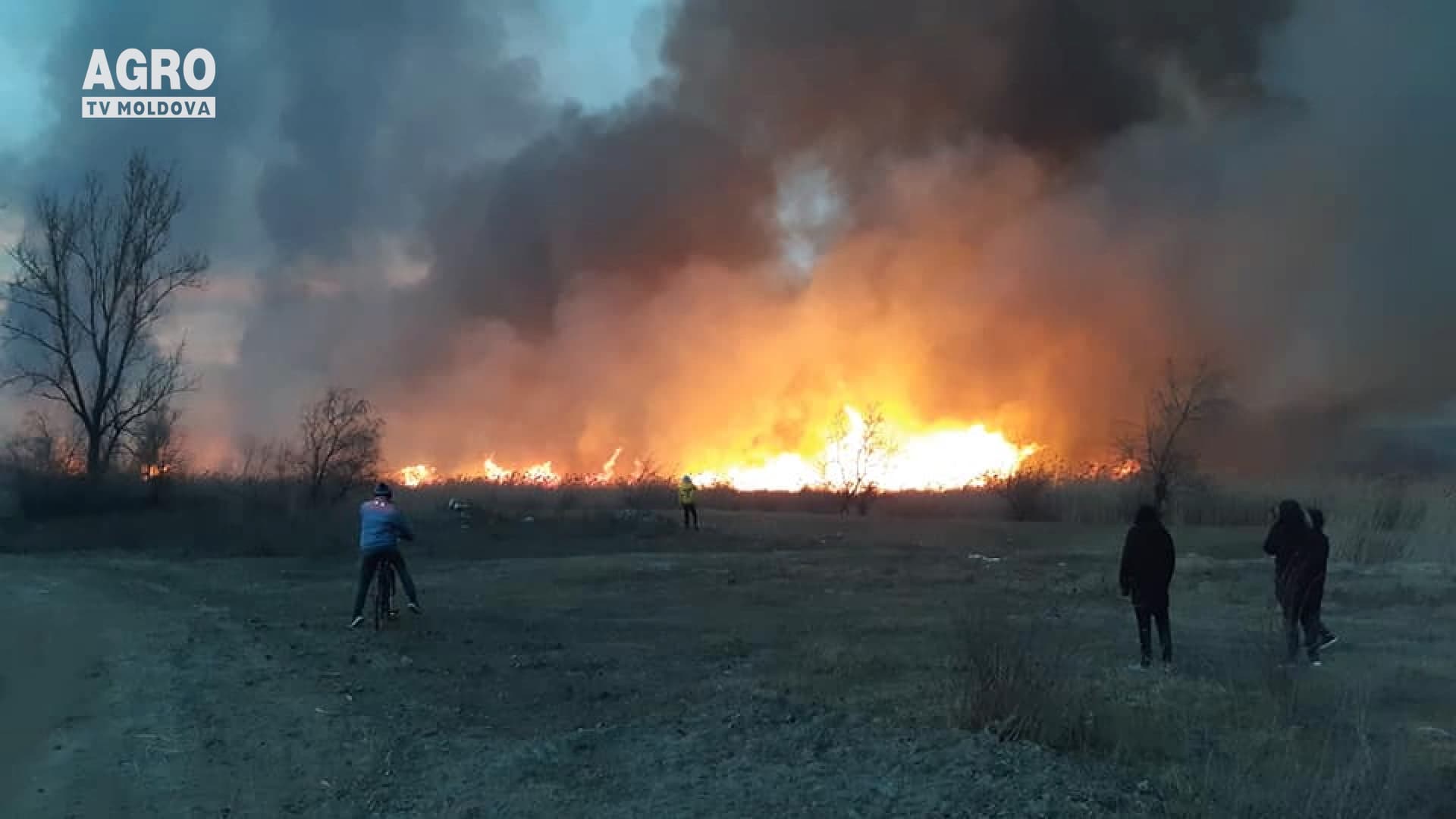 Incendiile de vegetație se extind
