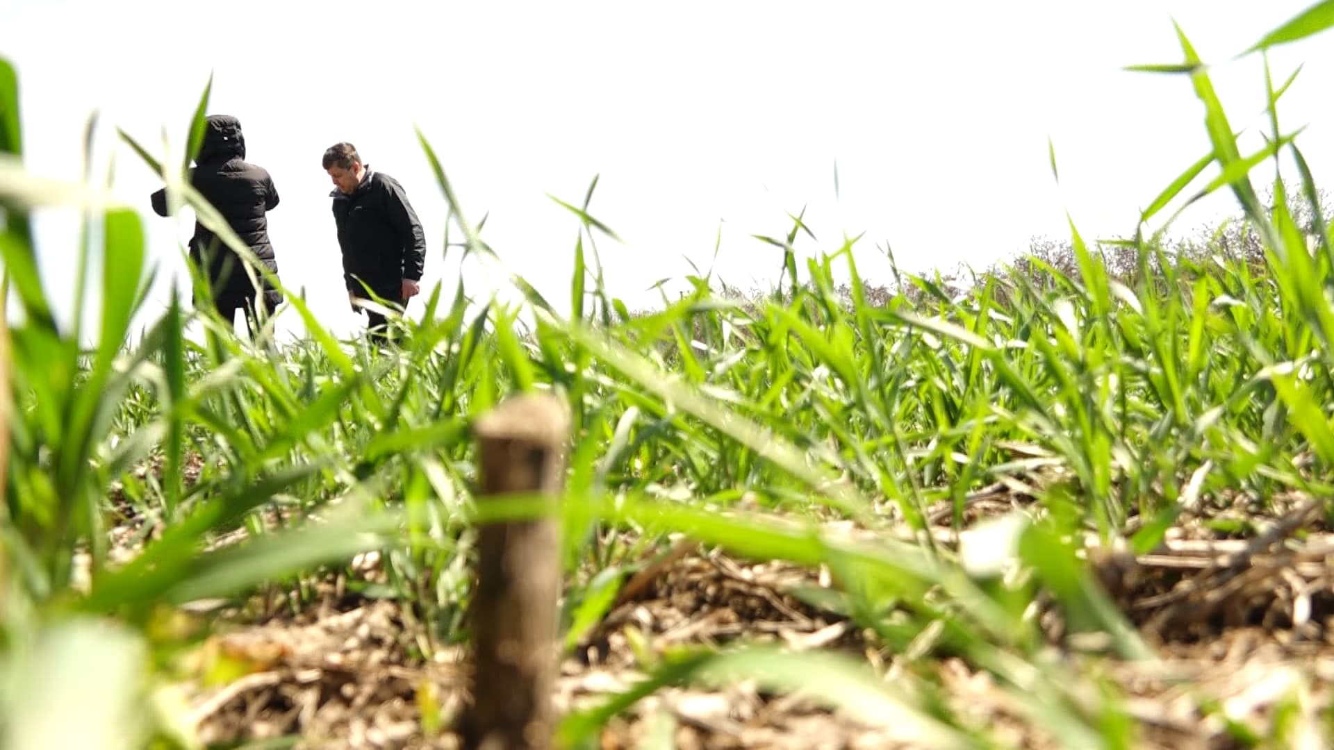 Suprafețele agricole vor fi inventariate