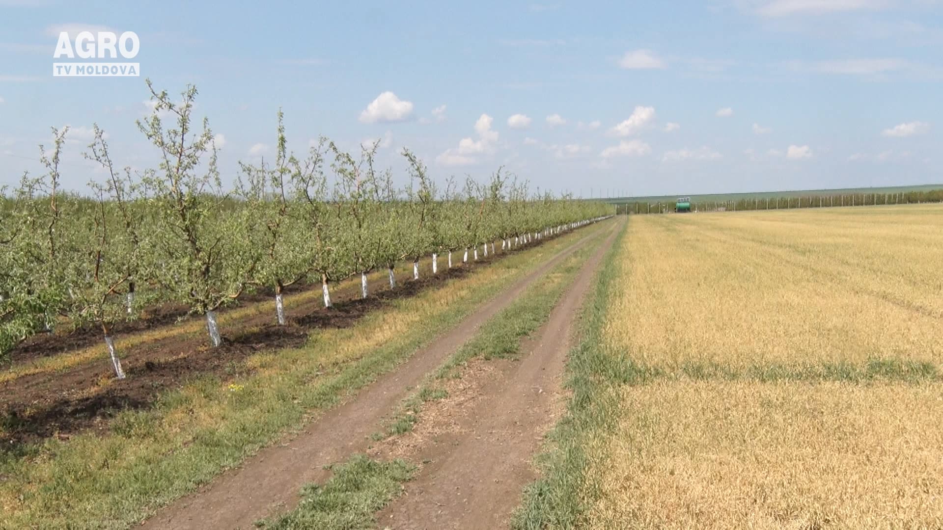 Agricultorii, lăsați să se descurce pe cont propriu