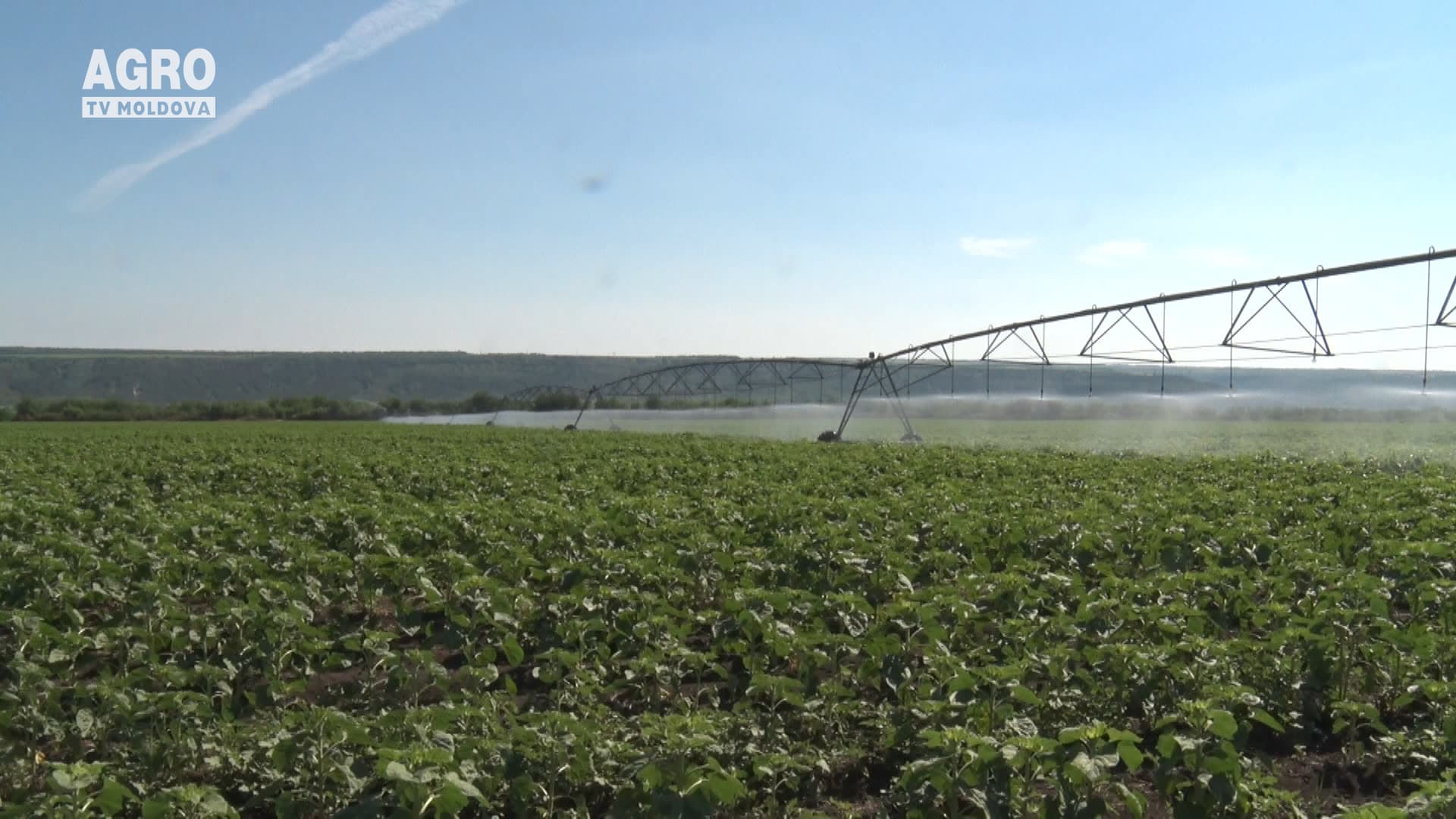 Agricultorii susținuți pe timp de secetă