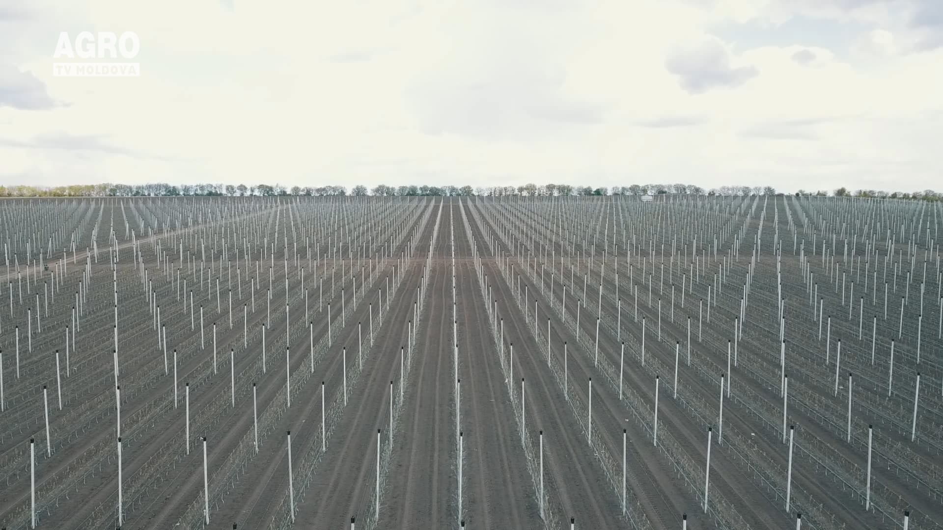Baștina din 17.05.2020