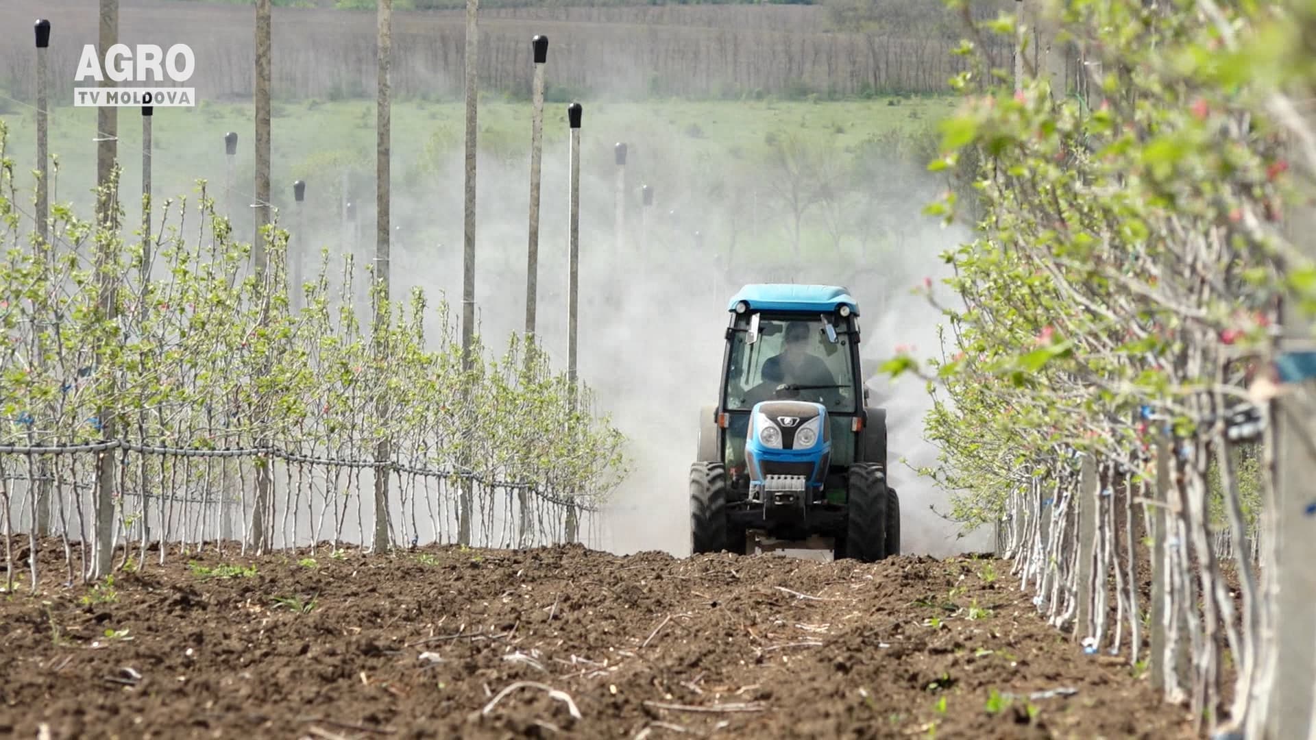 Baștina din 24.05.2020