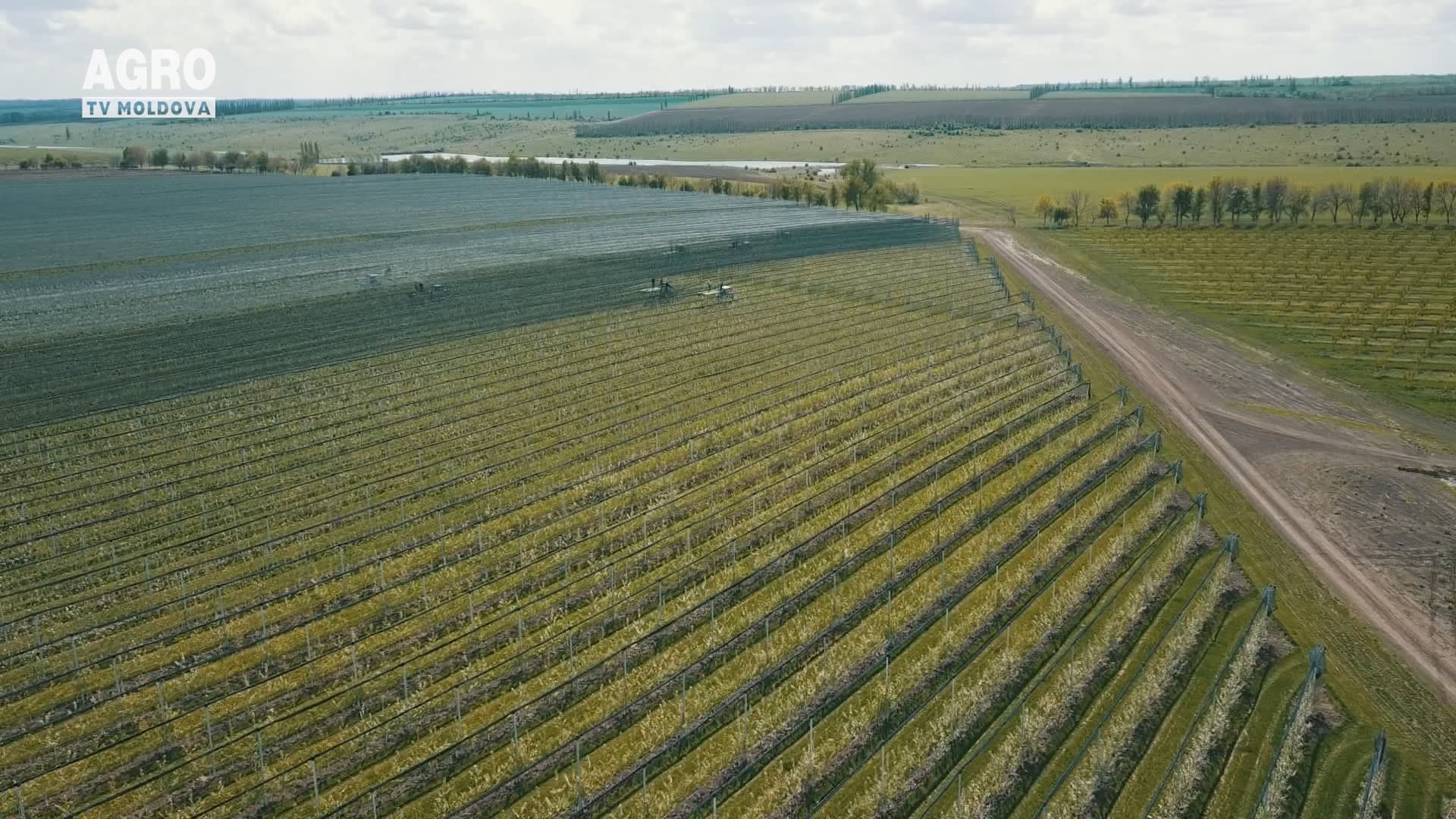Agricultura performantă o face adevărații gospodari