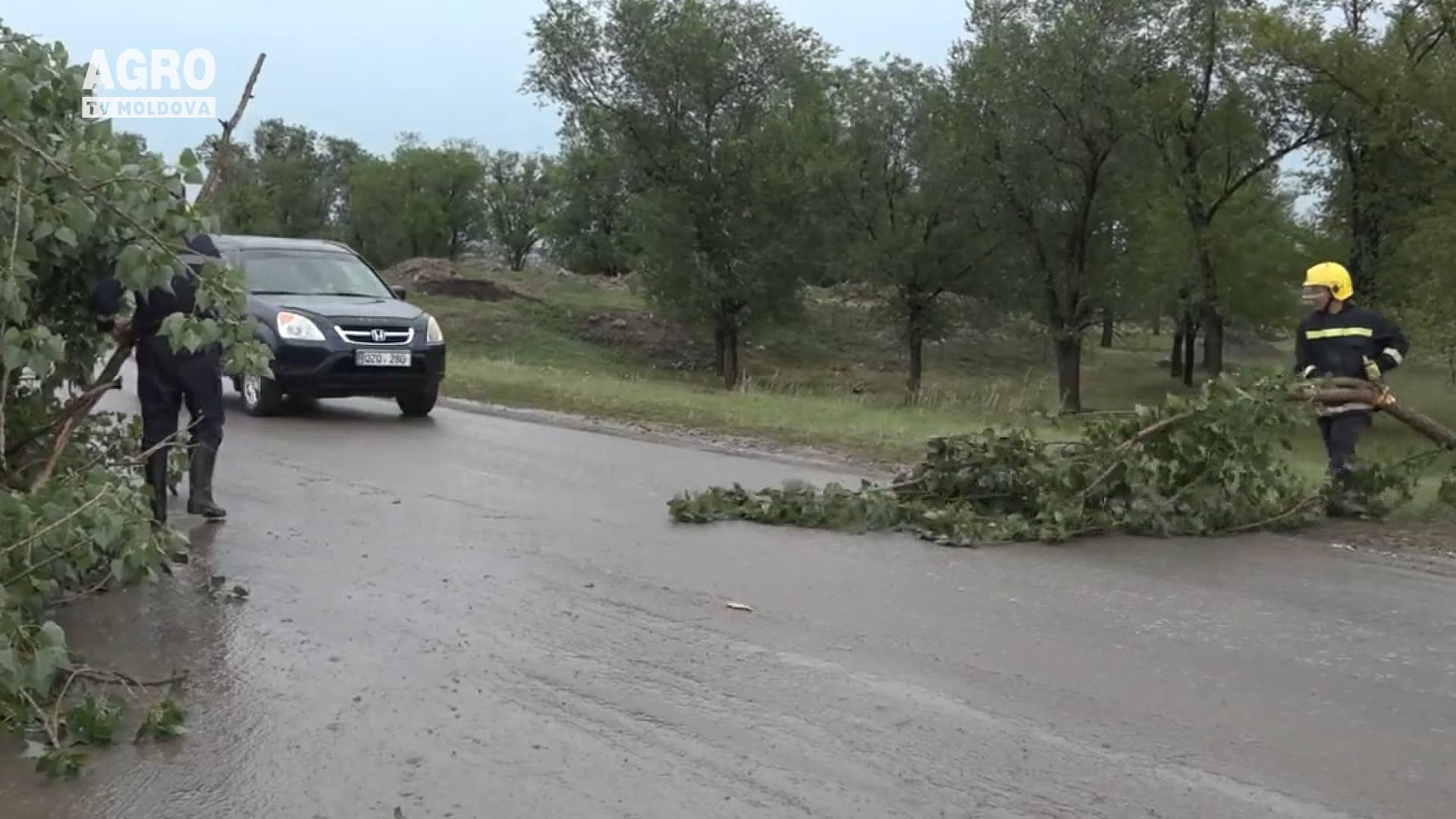 Ploile au făcut ravagii
