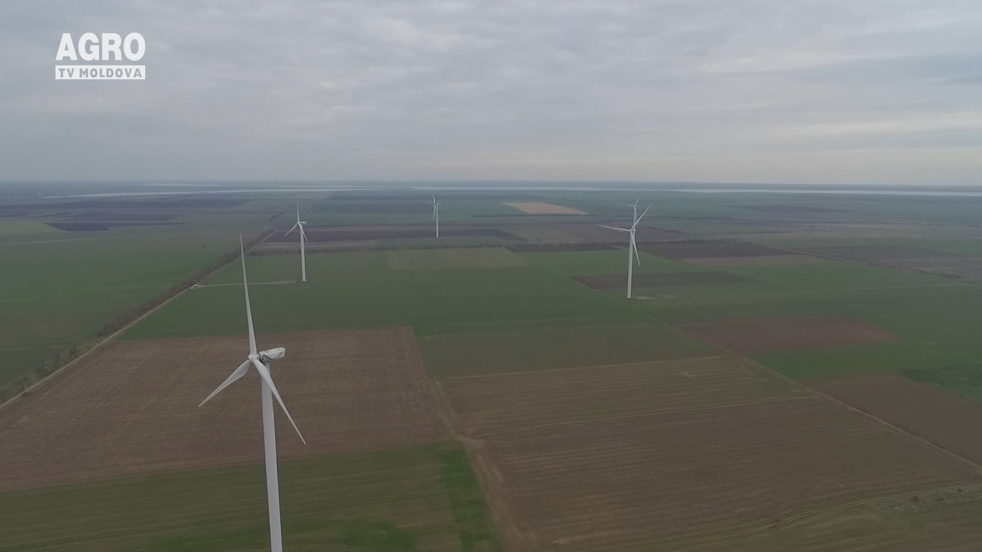 Afaceri fără pericol pentru ecologie