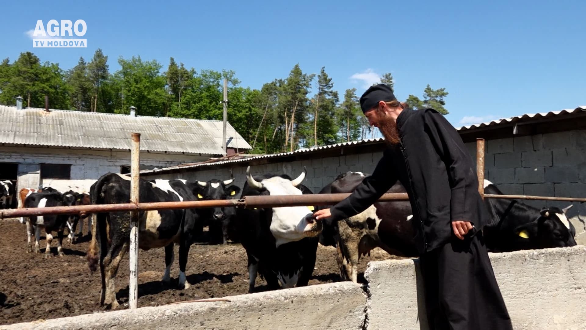 Mănăstirea Zăbriceni – lucrare de zidire sufletească. (O zi la mănăstire)