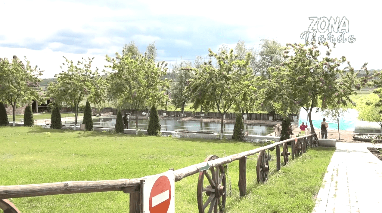 ZONA VERDE – Locații de vacanță potrivite pentru părinți și copii