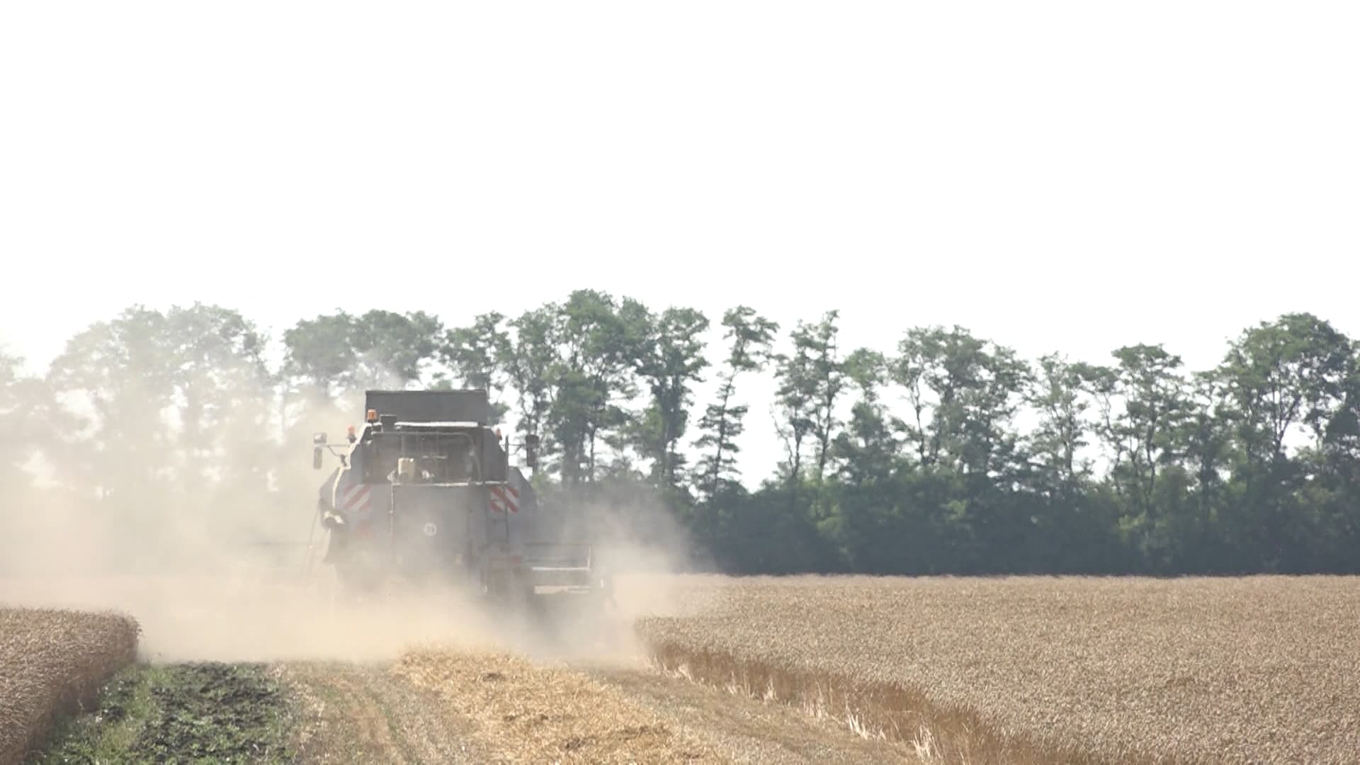 200 de milioane de lei pentru agricultori – mult sau puțin