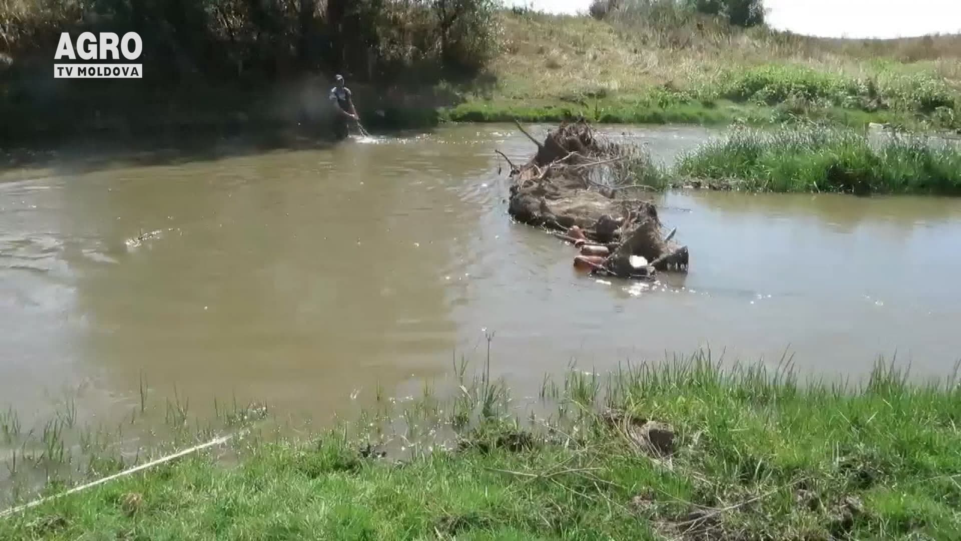 Braconierii continuă să încalce legea