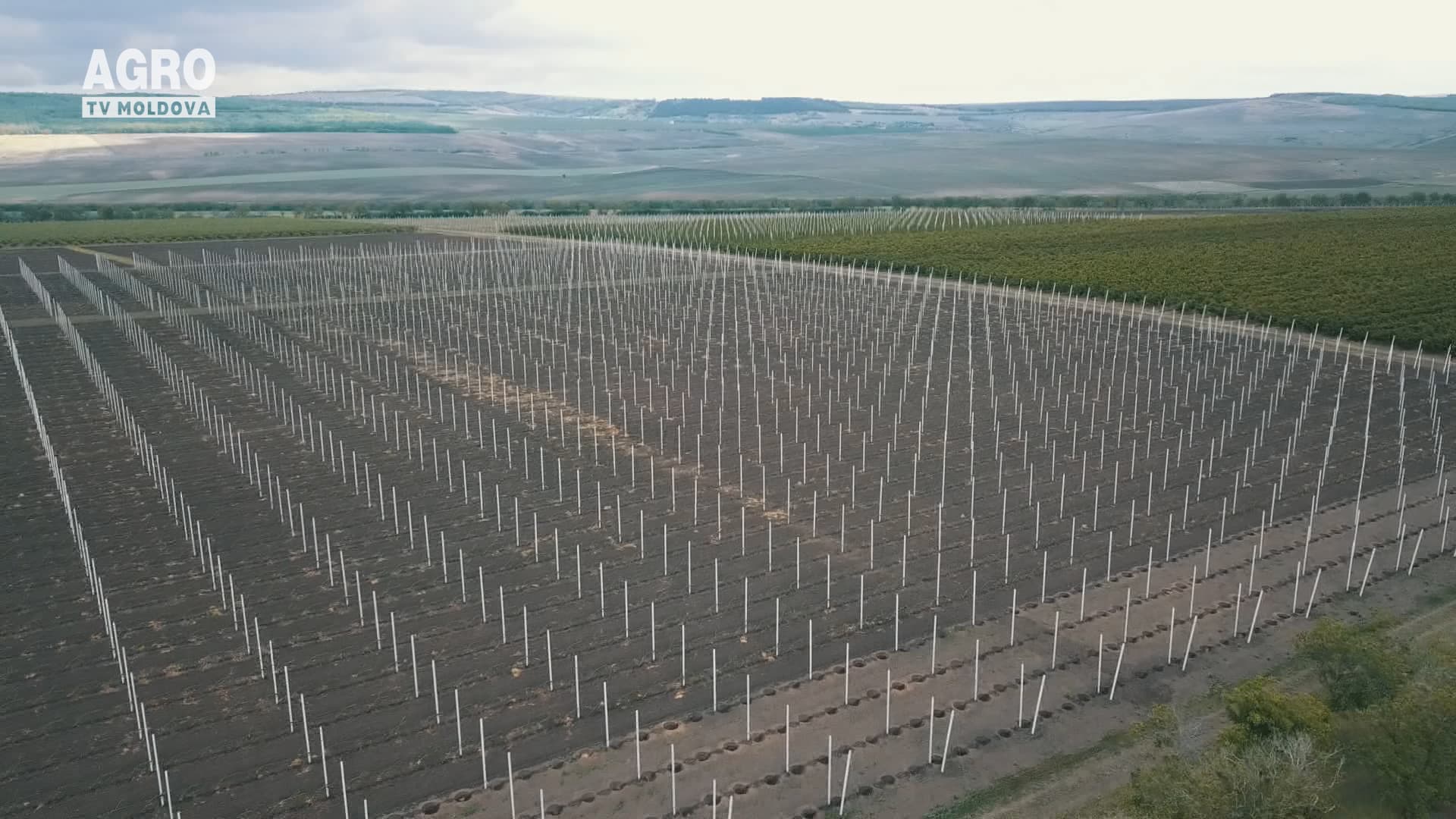 Livadă modernă cu bani europeni