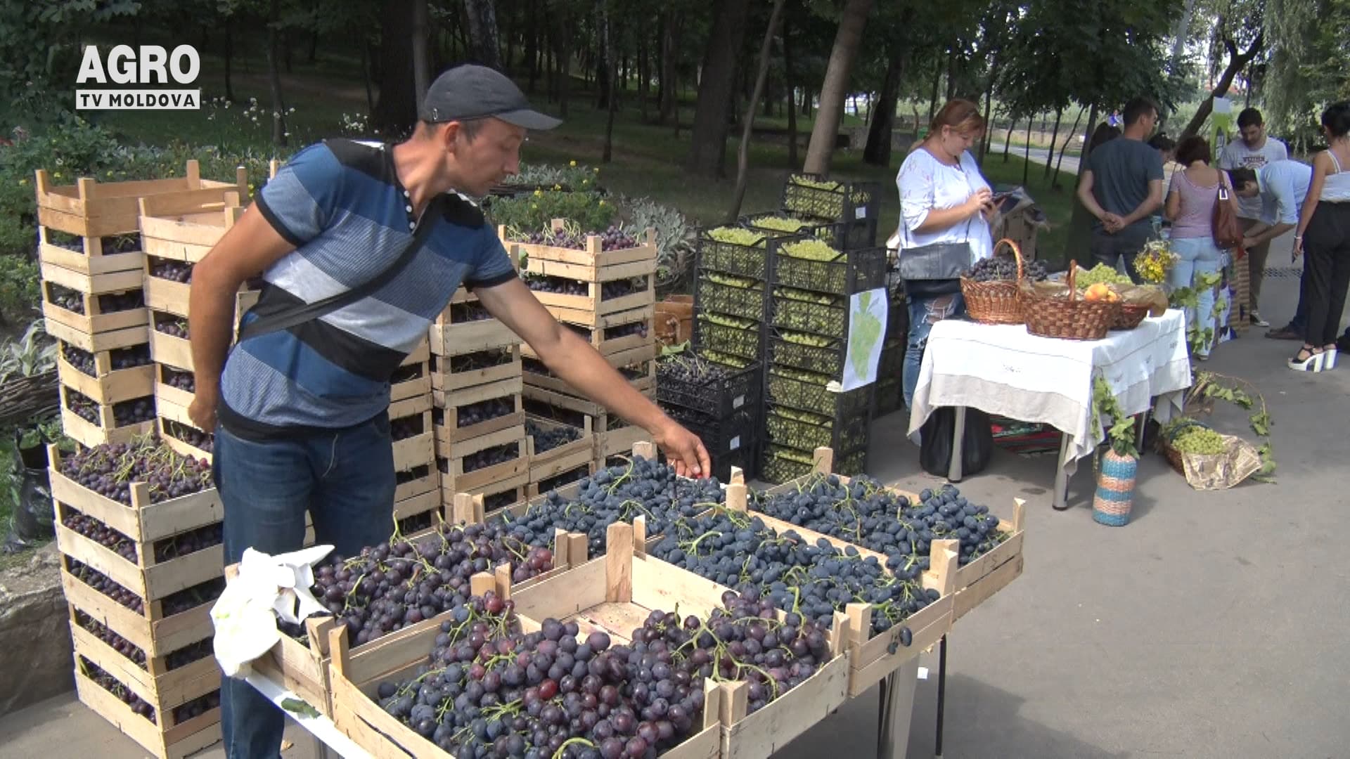 Prioritate pentru producători