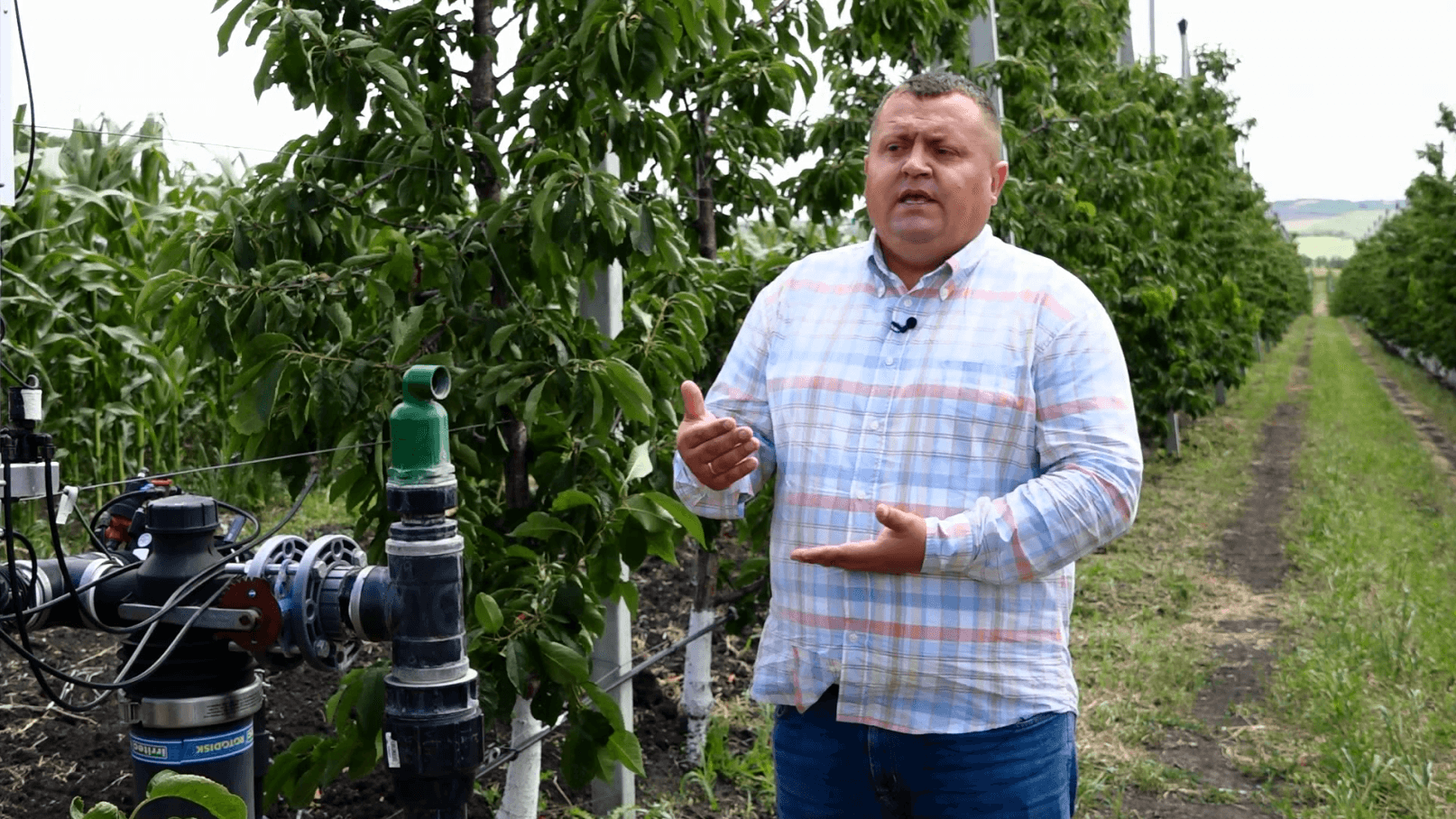 Baștina din 26.07.2020