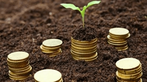 Fermierii au primit aproximativ 10 milioane de lei de la AIPA săptămâna trecută