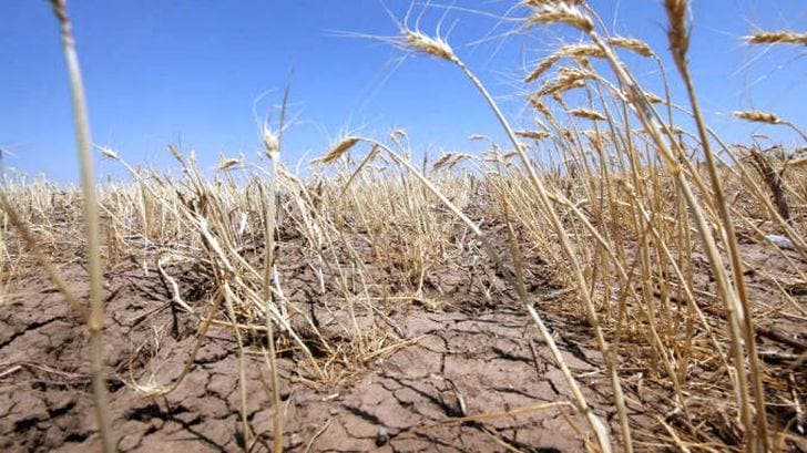Agricultorii pot solicita compesanții