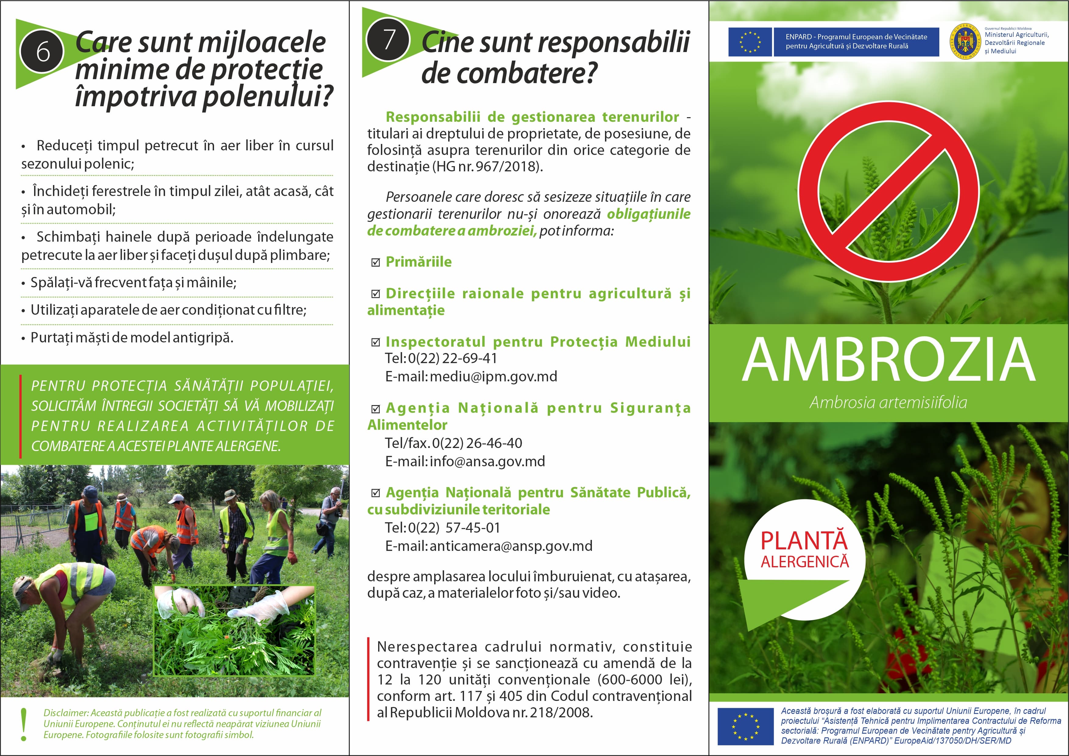 Distruge ambrozia