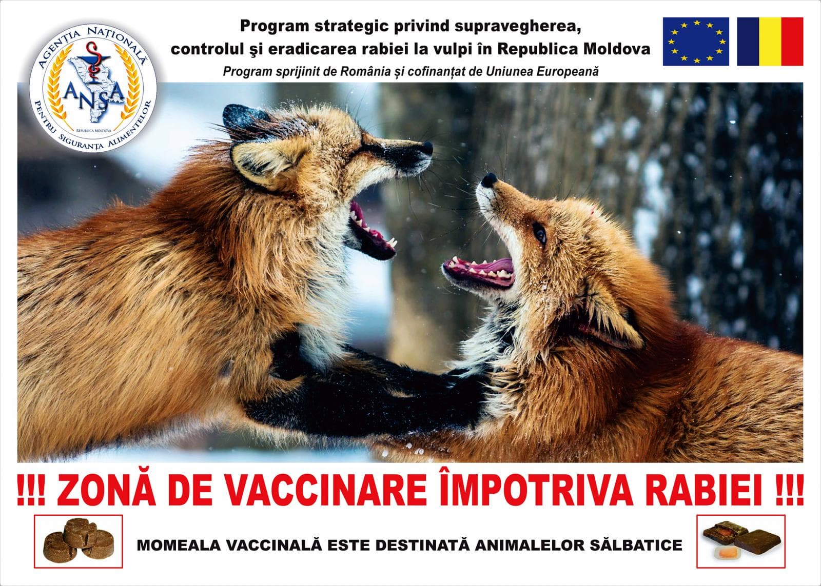Nu scăpăm de rabie