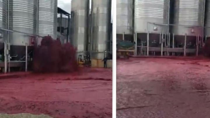 Zeci de tone de vin au curs pe jos într-o cramă din Spania