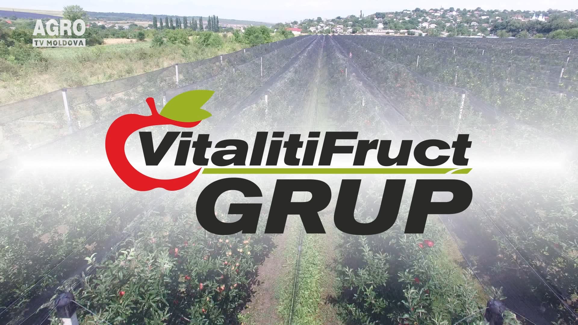 VITALITIFRUCT – propune metode inteligente de cules mere