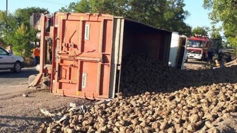 Un camion plin cu sfeclă de zahăr, s-a răsturnat