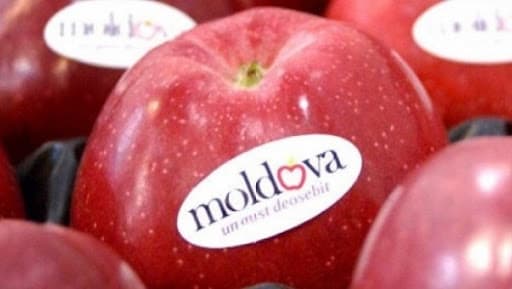 Unde exportăm cele mai multe fructe
