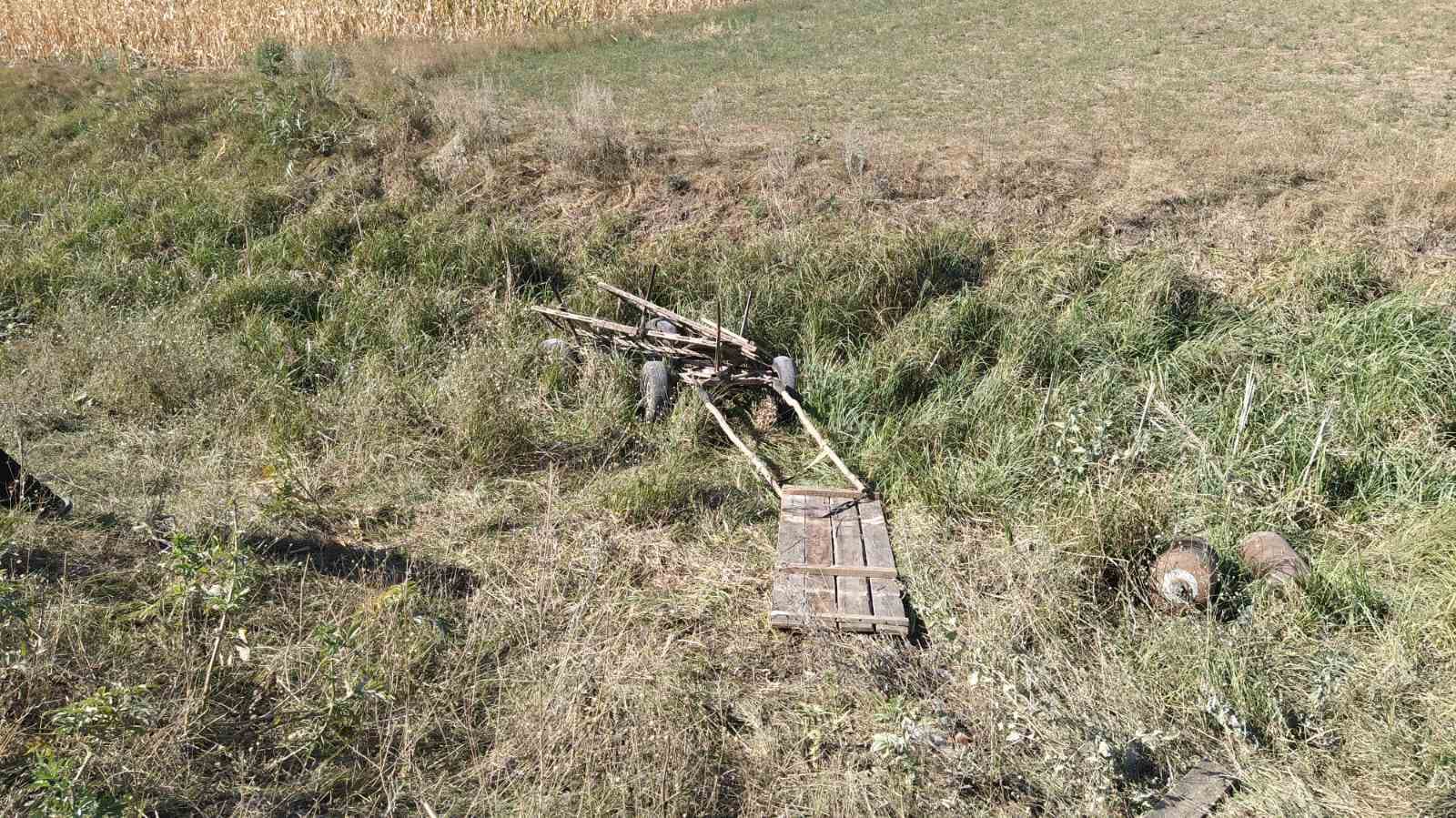 A ajuns cu căruța într-un șanț