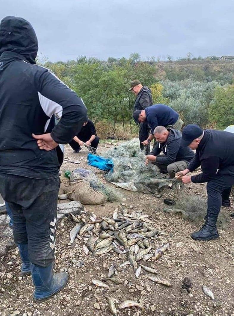 Razii de combatere a braconajului în sudul țării