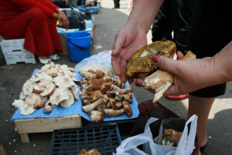 Atenție la consumul de ciuperci!