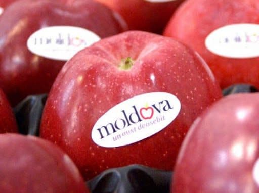 Și Croația este interesată de fructele moldovenești