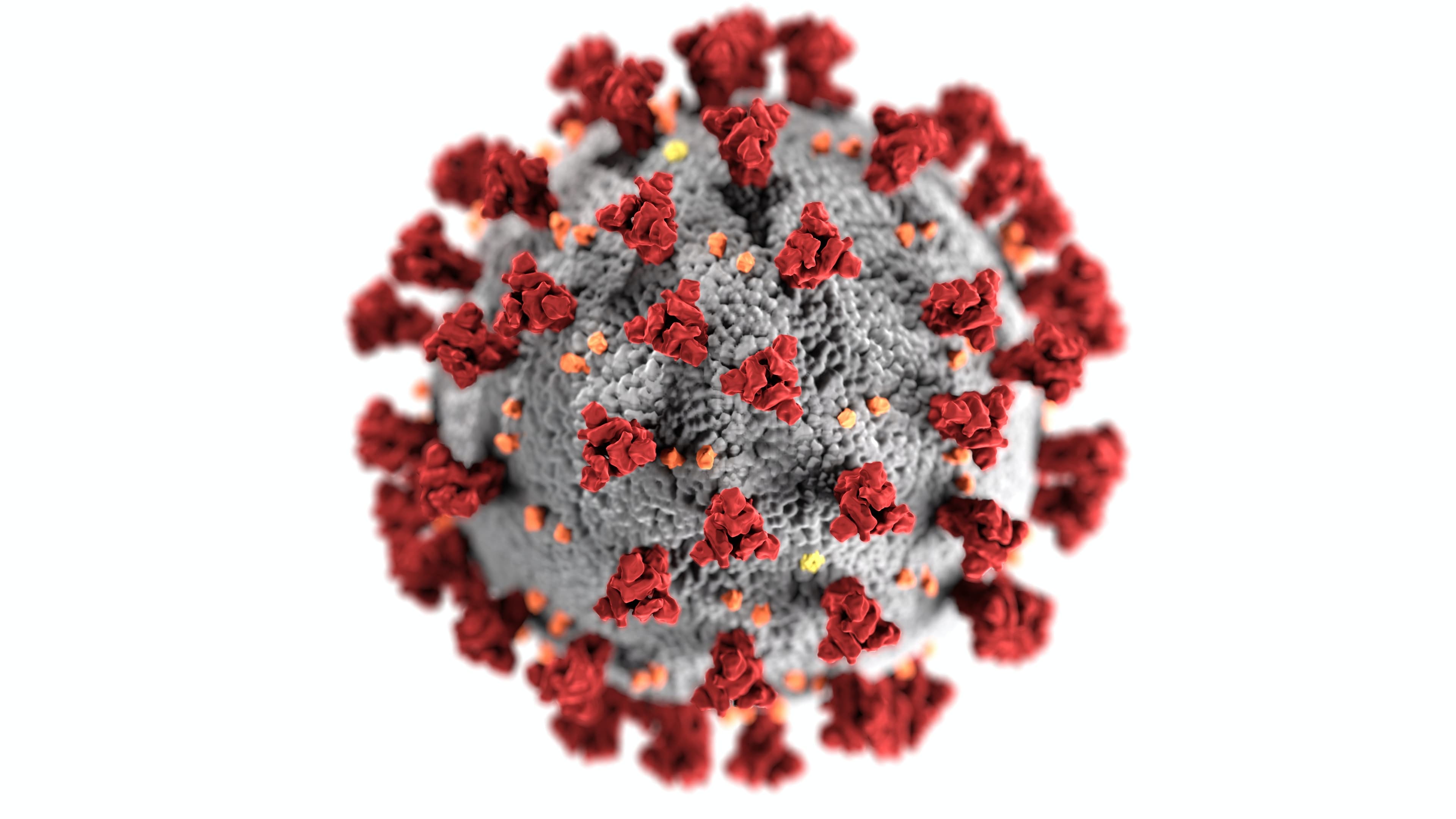 Ultimele știri despre situația cu Coronavirus