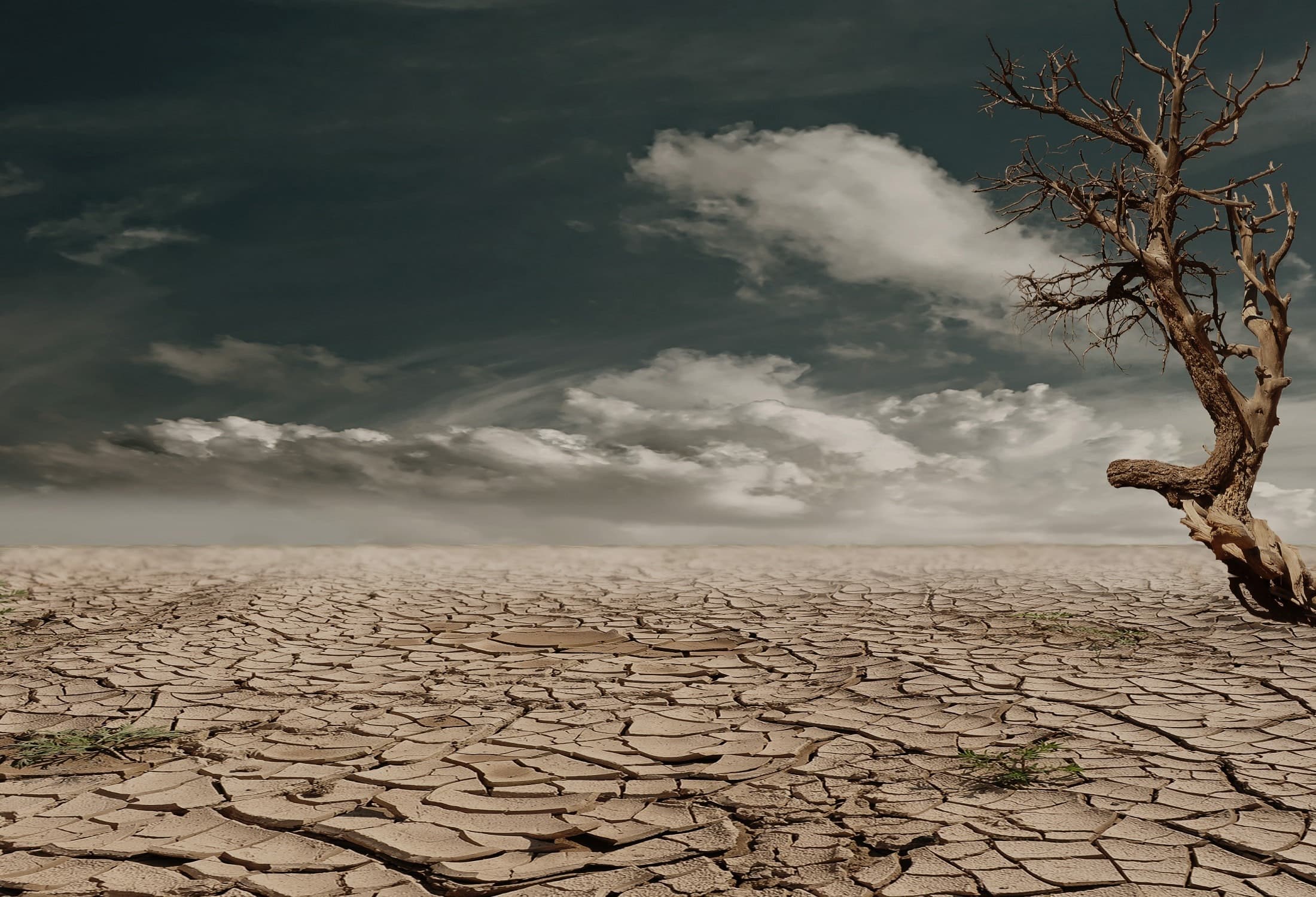 Datorită COVID-19, emisiile și utilizarea cărbunelui ar putea scădea