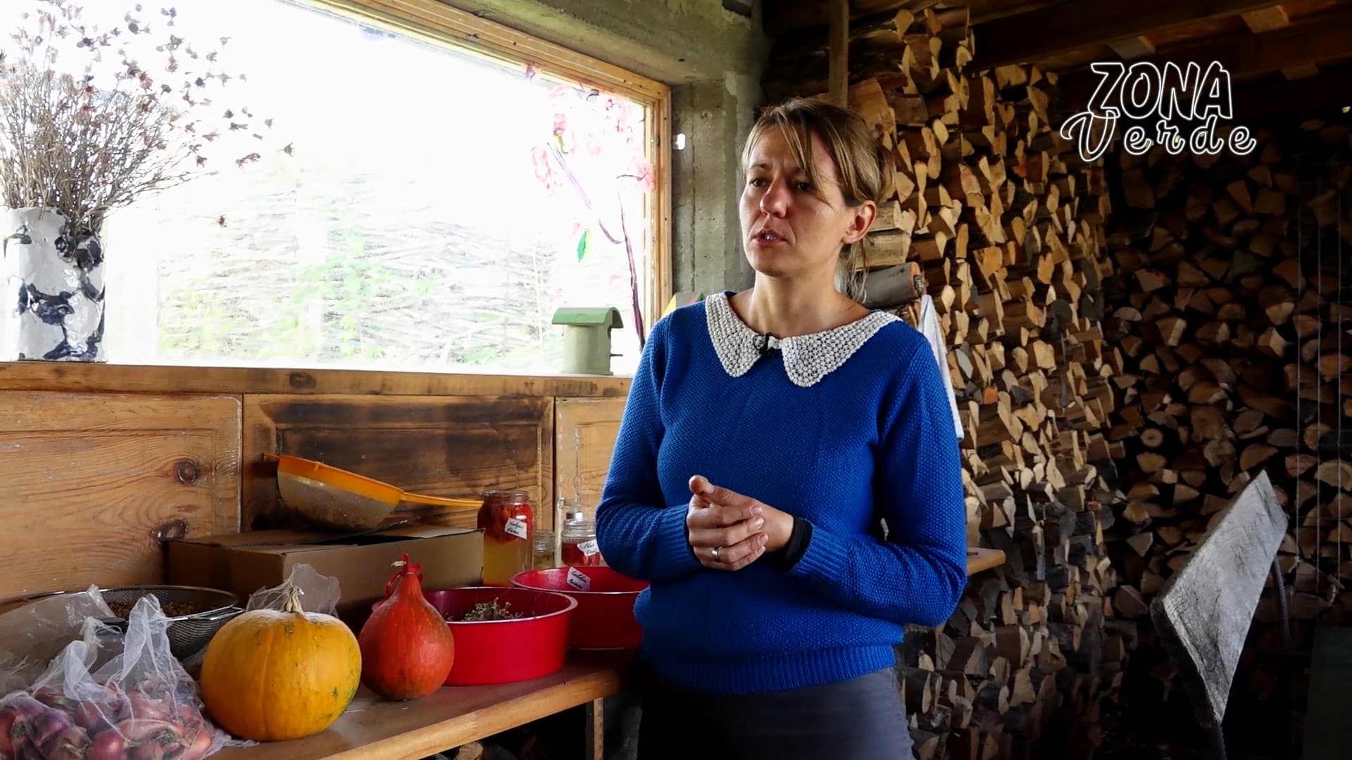Folosind calendarul agricol, obțineți o roadă bogată