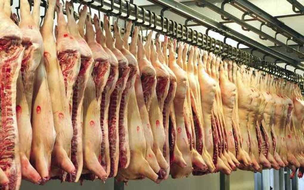 Deși pesta porcina africană a provocat sacrificarea a o treime din totalul de porci din sectorul zootehnic, autoritățile dau asigurări că nu vom avea deficit de carne de porc