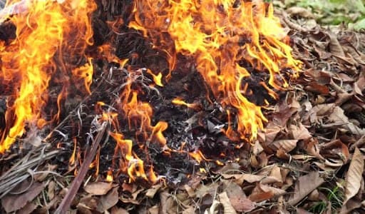 Tot mai puține frunze arse: sătenii aleg soluții prietenoase mediului
