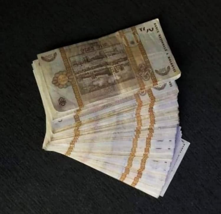 Mita a lăsat vulpile fără vaccin antirabic