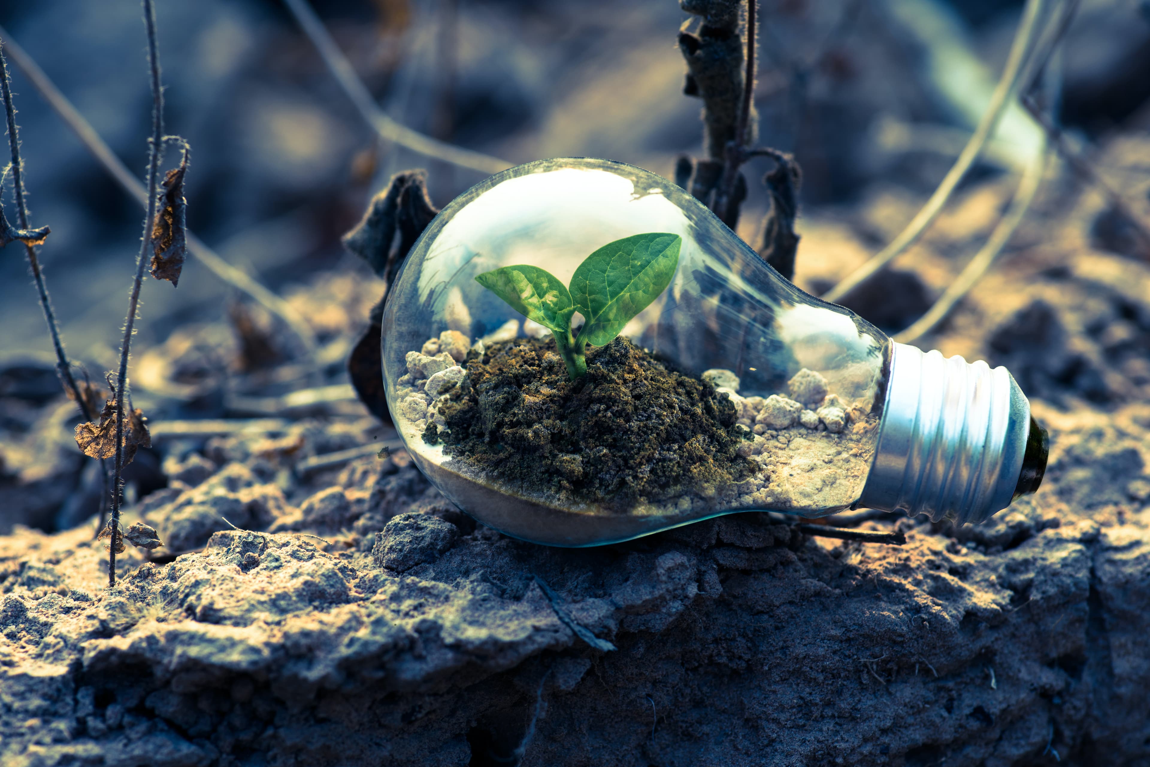 EIT Innoenergy, un nou centru pentru economia de hidrogen verde în Europa