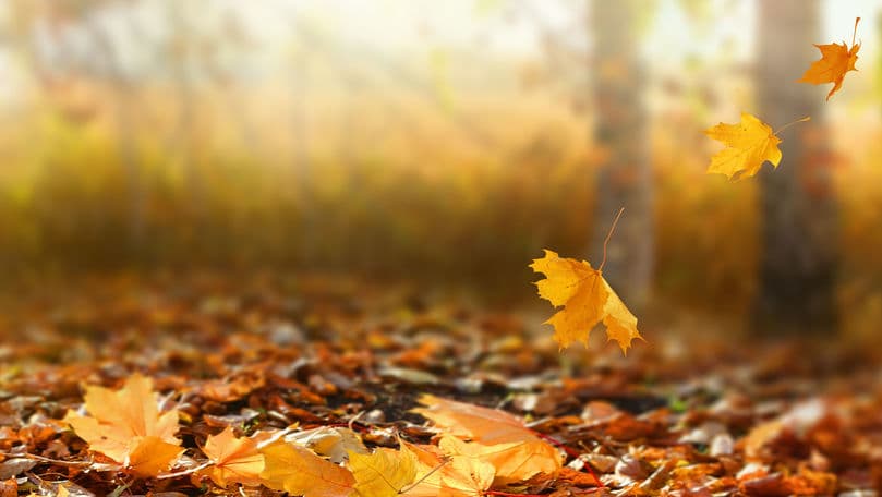 Prognoza meteo pentru sâmbătă, 28 noiembrie