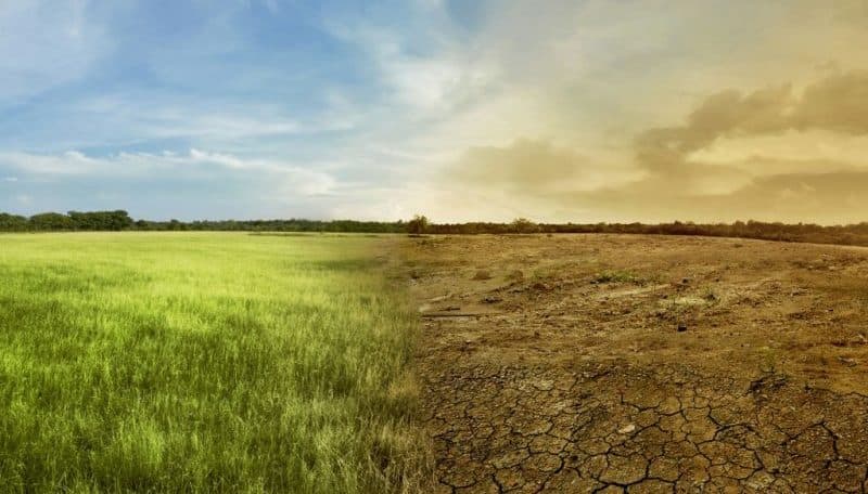 IFAD anunță un nou apel de granturi