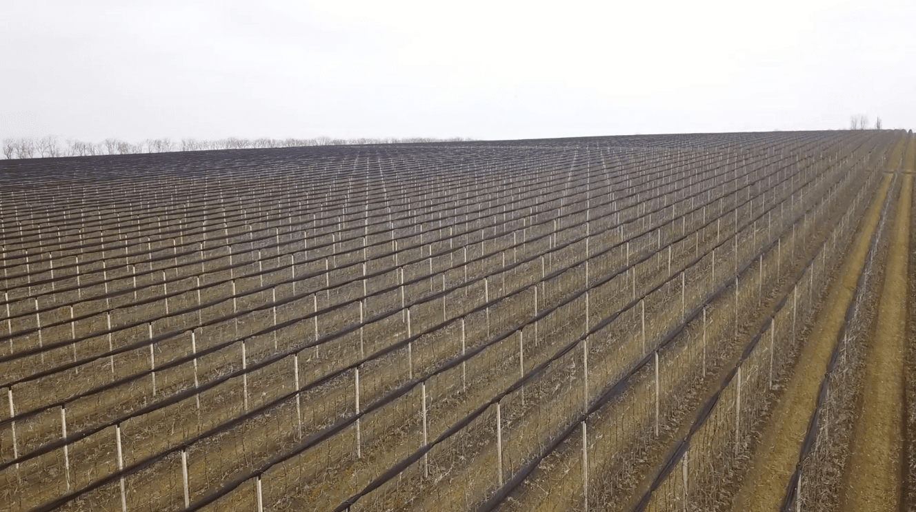 Agricultură de ultimă generație pentru o roadă mai bogată