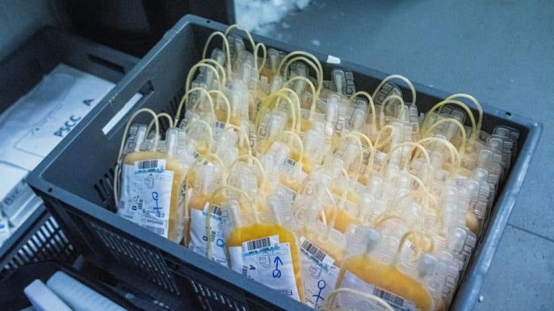 Terapia cu plasmă COVID-19 este utilă indiferent de caz, spune Comisia UE