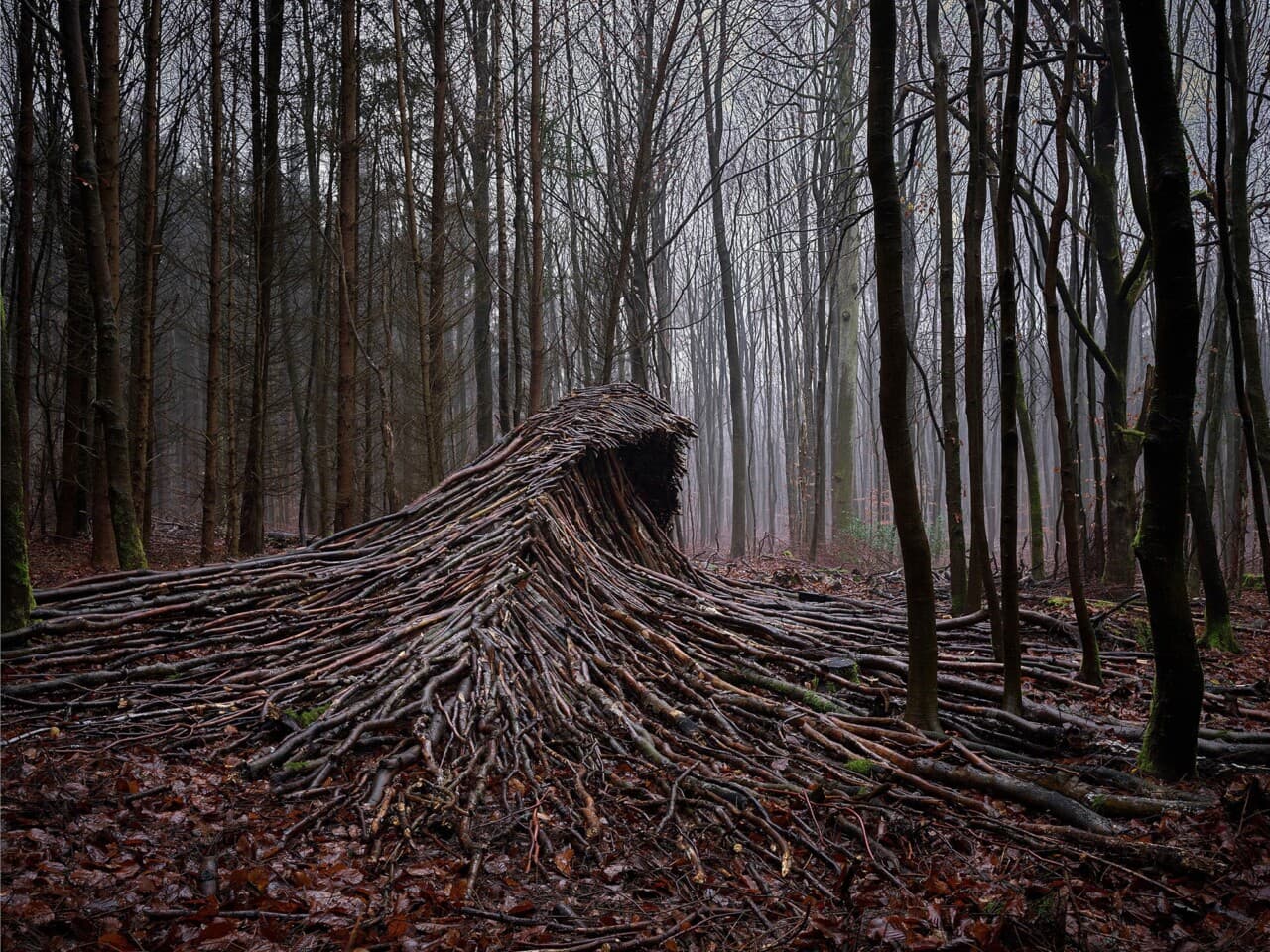 FOTO/Natura, fotografia și COVID-19, cum se unesc acestea în Hamburg?