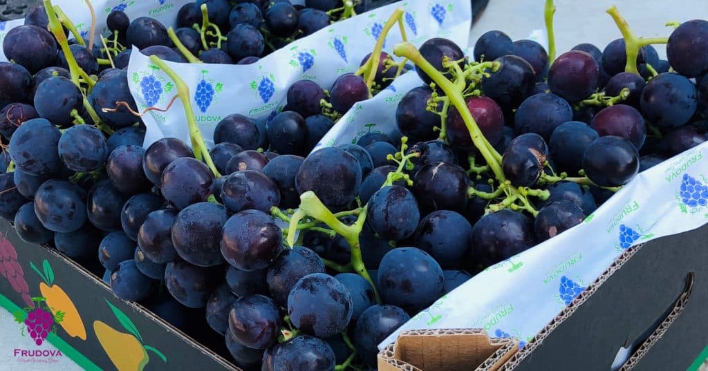 Ce au în comun strugurii din Moldova cu cei din Uzbekistan?
