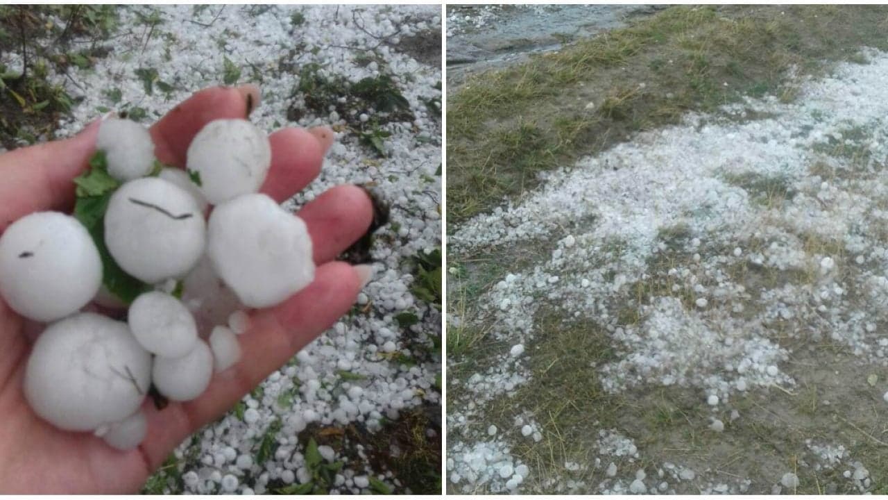 Agricultorii pierd tot mai mult din cauza grindinei